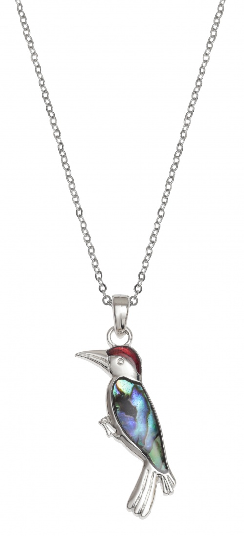 woodpecker,necklace,bird