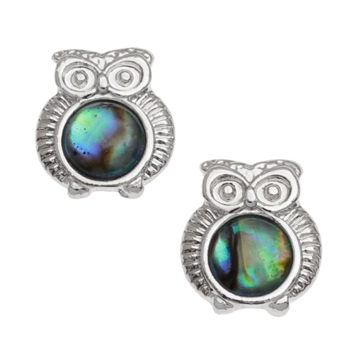 Owl,earrings,paua-shell