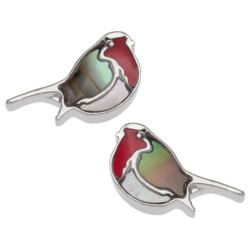 robin,stud,earrings,paua-shell,mother-of-pearl