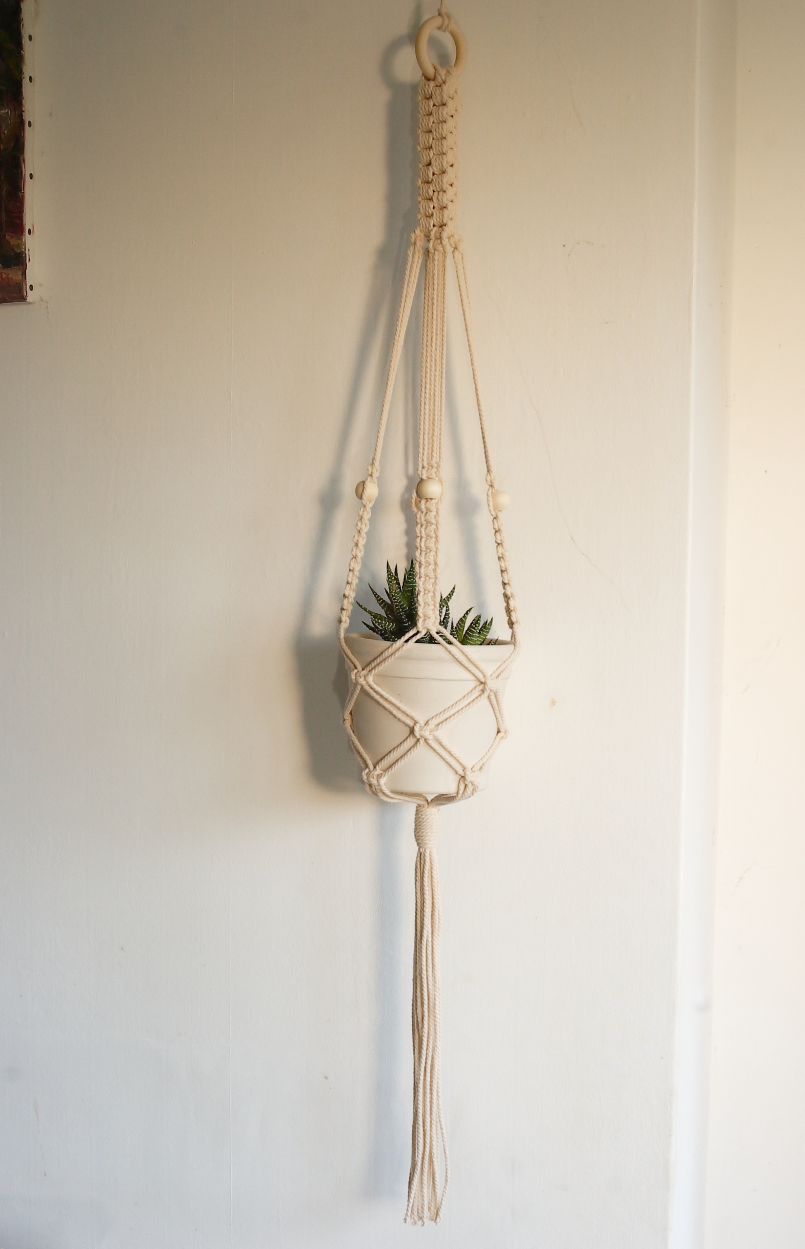Handcrafted Macrame Plant Hanger with Ecru Cotton Cord – Amanda Tamsin